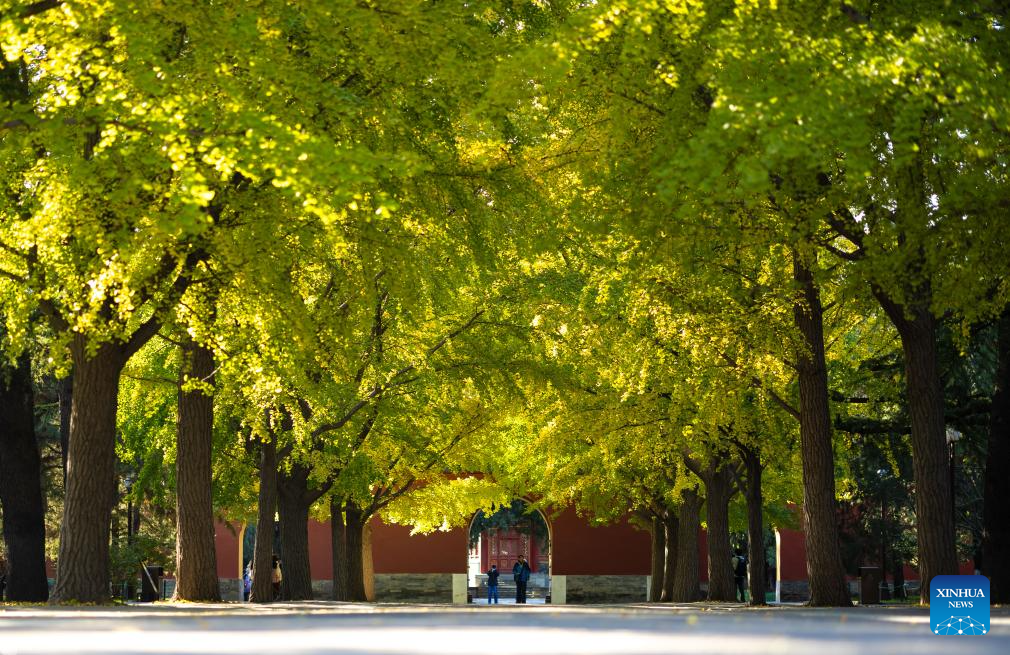 Autumn on Beijing Central Axis