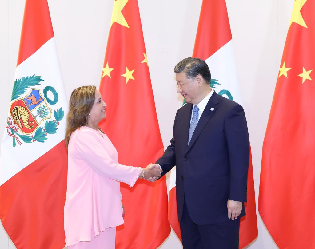 Xi calls for fostering new growth engines for China-Peru cooperation in digital economy, green development