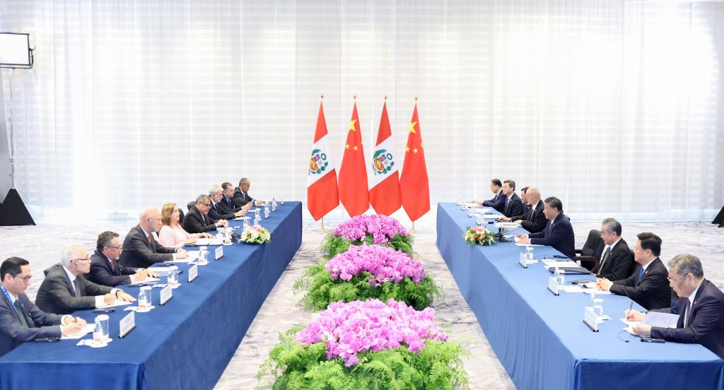 Xi calls for fostering new growth engines for China-Peru cooperation in digital economy, green development
