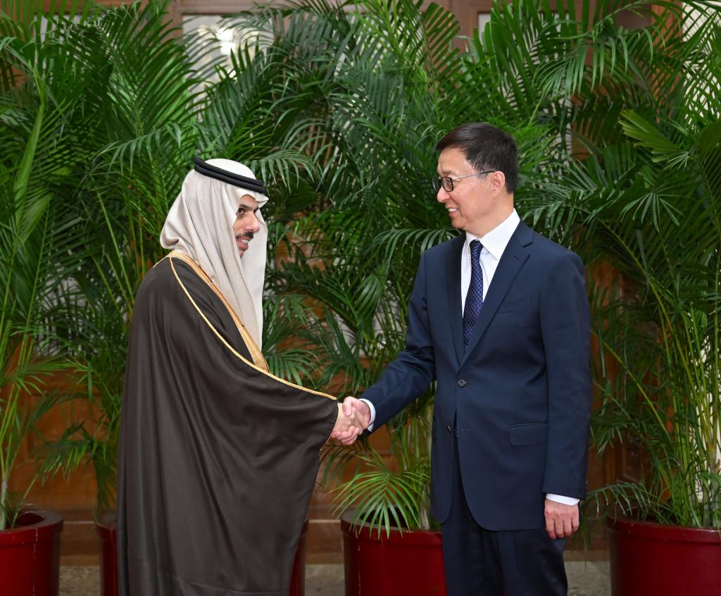 Chinese VP meets delegation of Arab-Islamic foreign ministers