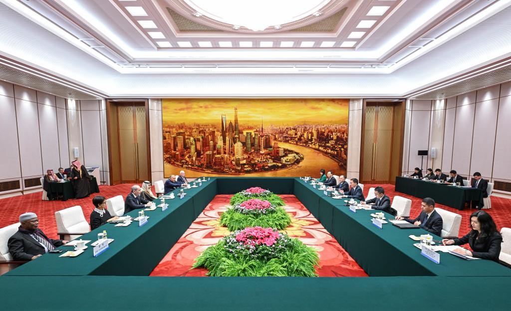 Chinese VP meets delegation of Arab-Islamic foreign ministers