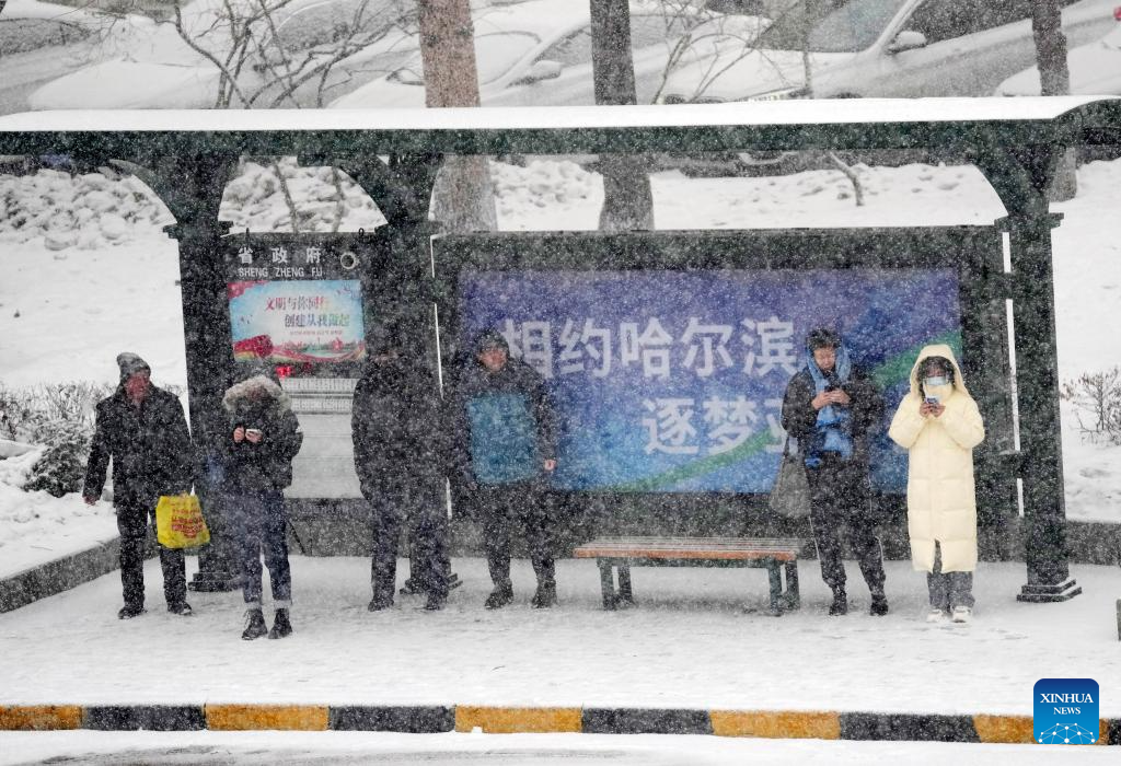 Heavy snow hits Harbin in NE China