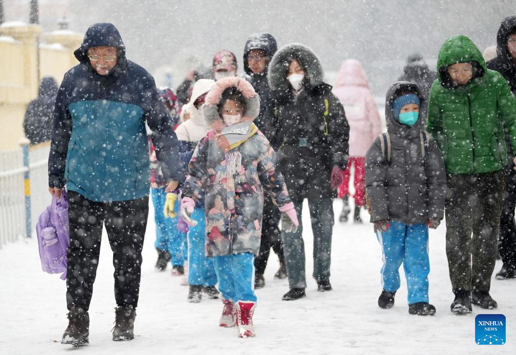 Heavy snow hits Harbin in NE China