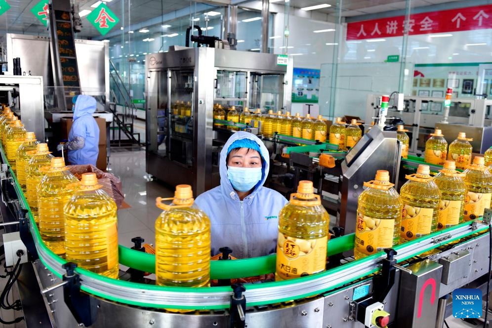 E China's county constructs industrial, supply chains to boost economy