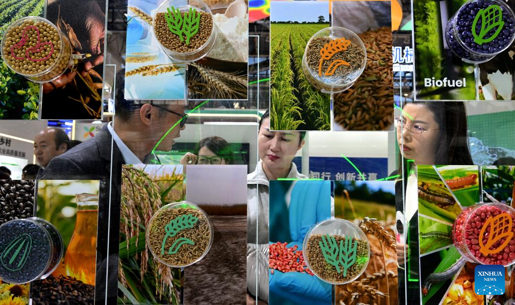Glimpse of exhibition area on green agriculture chain at China int'l supply chain expo