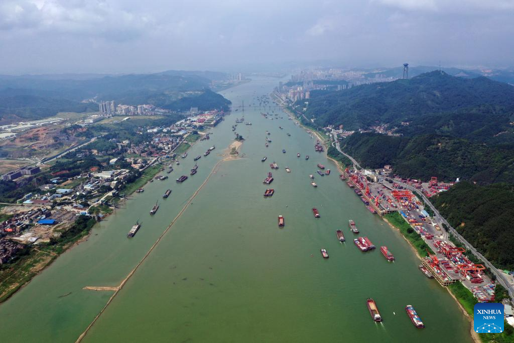 Liubao tea industry thriving in Wuzhou, S China