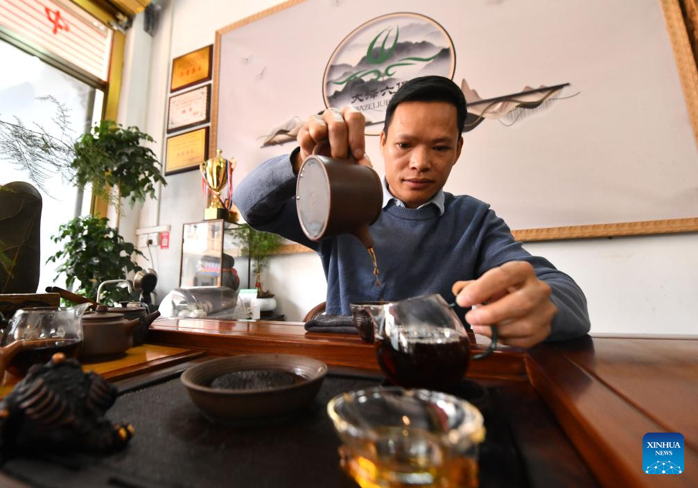 Liubao tea industry thriving in Wuzhou, S China
