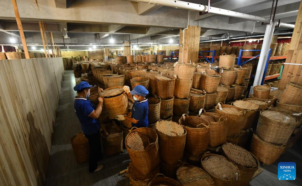 Liubao tea industry thriving in Wuzhou, S China