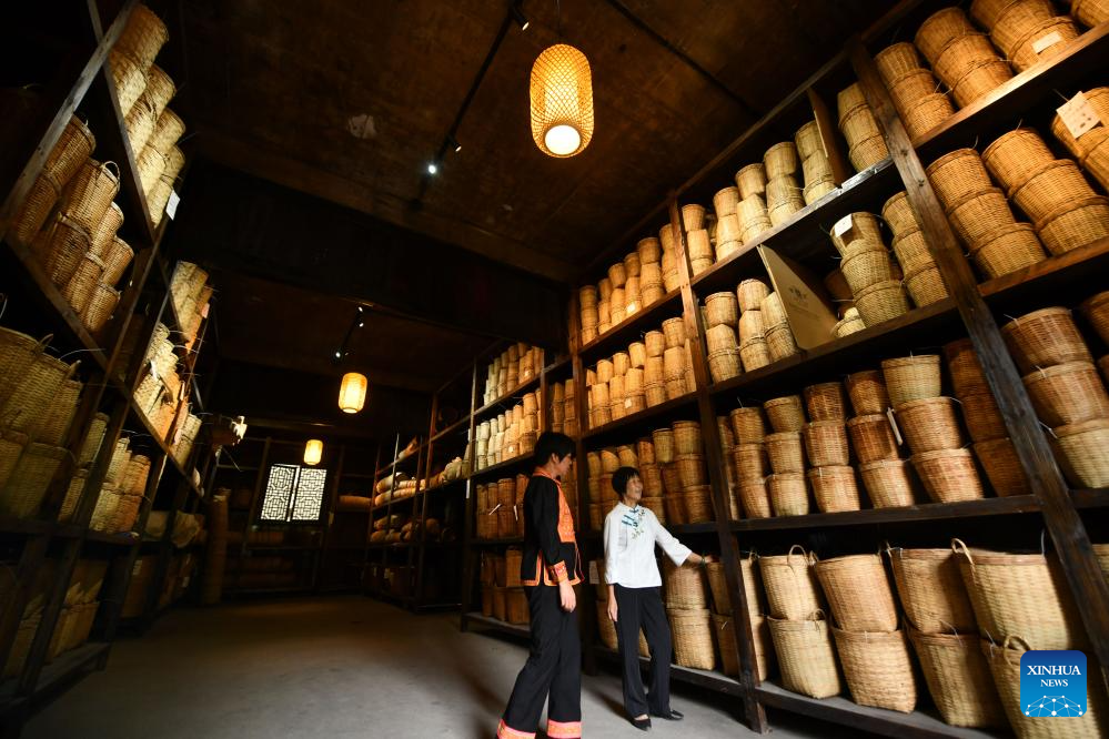 Liubao tea industry thriving in Wuzhou, S China