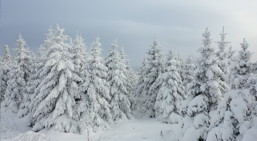 Changbai Mountain transforms into a winter paradise