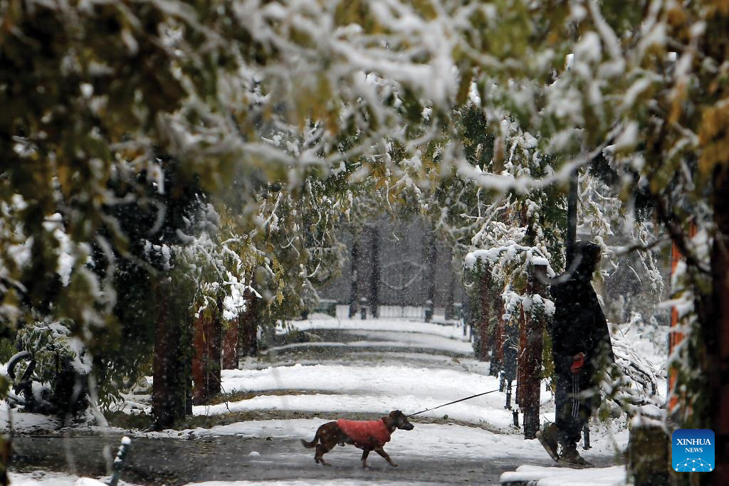 Romania greets first snowfall of this year's winter