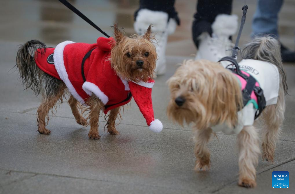 Christmas Dog Parade held in Canada