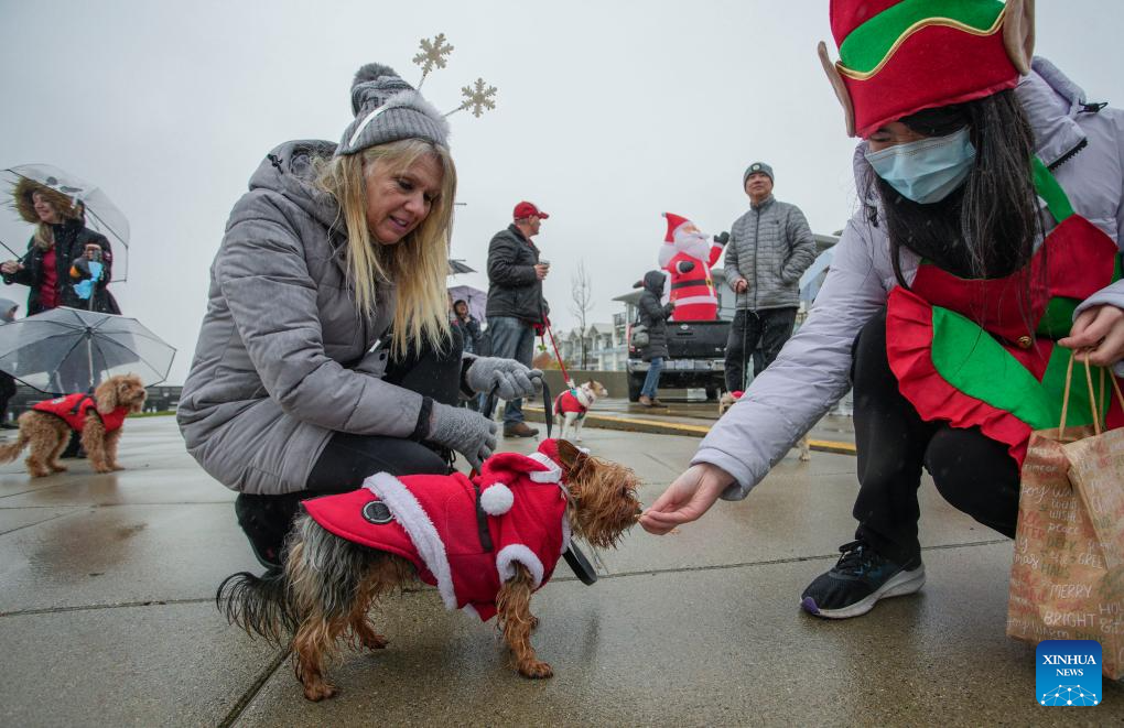 Christmas Dog Parade held in Canada