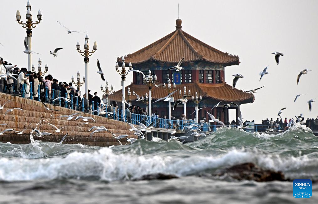 QINGDAO, CHINA - JUNE 2, 2023 - Police perform stick-fighting skills in  Qingdao, East China's Shandong province, June 2, 2023. (Photo by CFOTO/Sipa  USA Stock Photo - Alamy