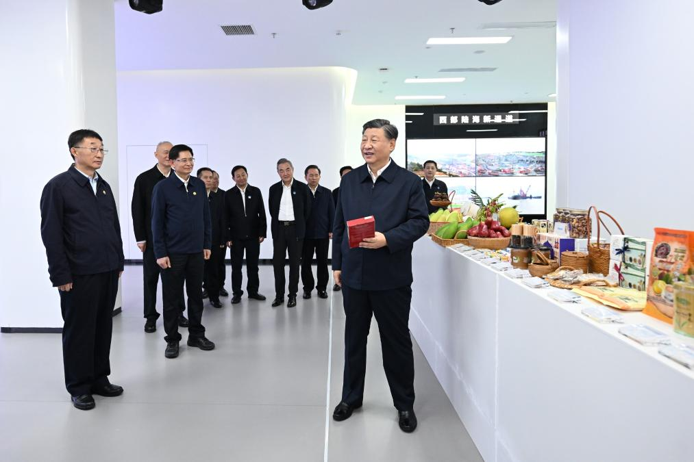 Xi inspects Nanning in south China's Guangxi