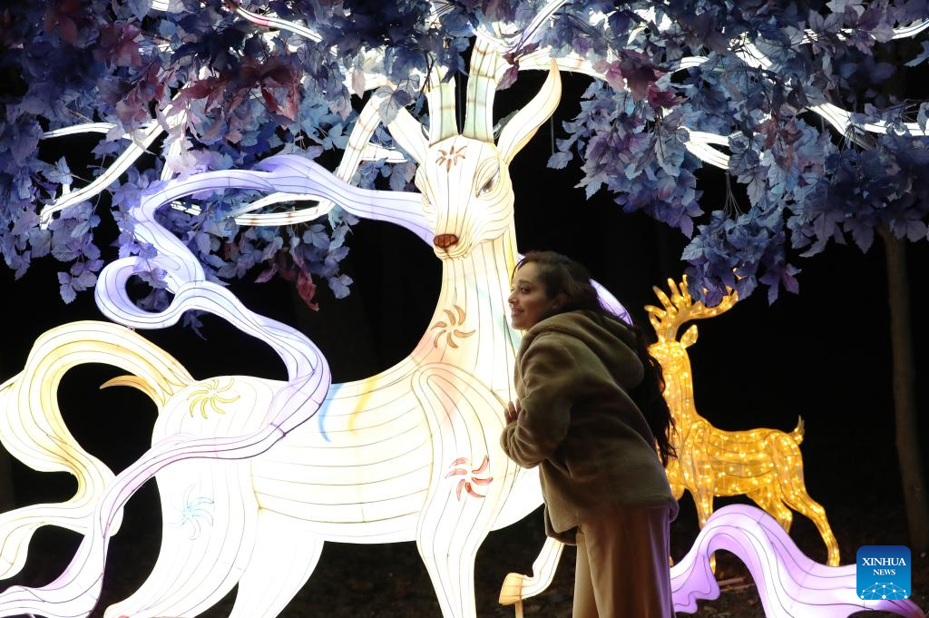 Preview tour of Dragons and Lanterns Festival held in Paris