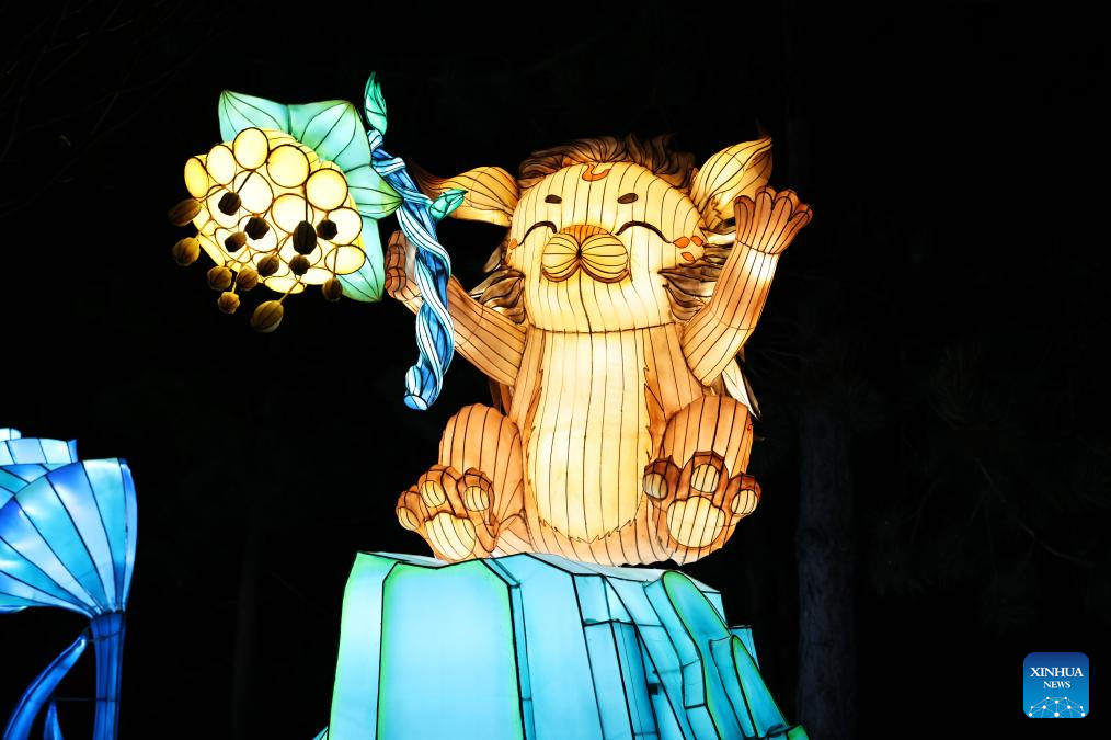 Preview tour of Dragons and Lanterns Festival held in Paris