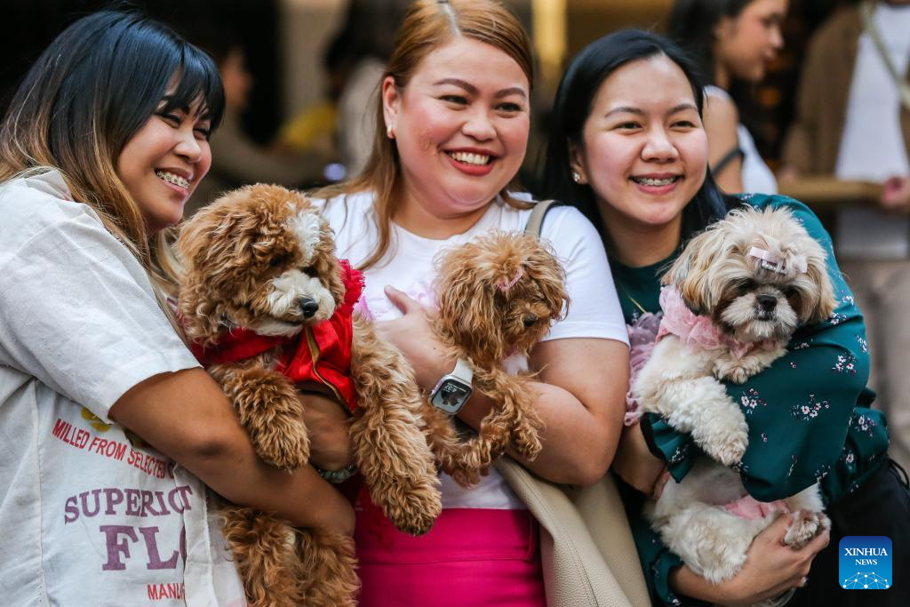 Christmas Pet Parade held in Quezon City, Philippines