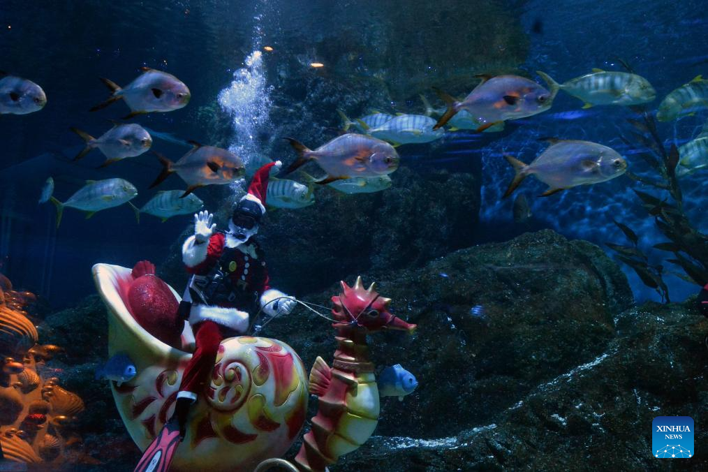 Diver dressed in Santa Claus costumes performs at Bangkok Ocean World