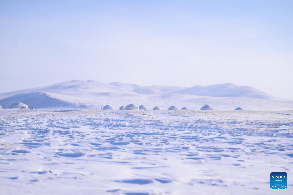 Snowscape of grassland in N China's Inner Mongolia
