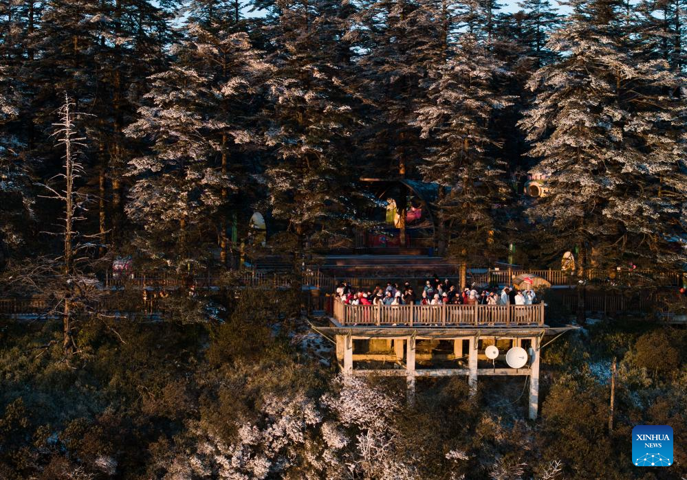 Scenery of Wawu Mountain in China's Sichuan