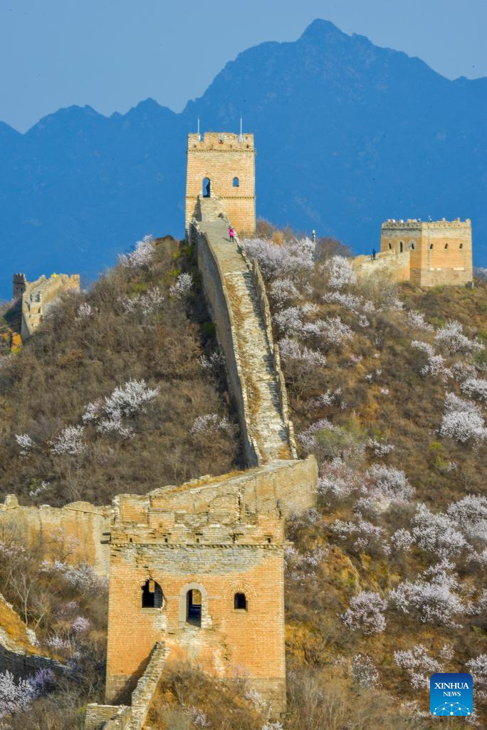 Aerial view of Great Wall through four seasons