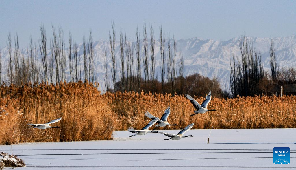 Rendezvous with snow refreshes landscapes in China