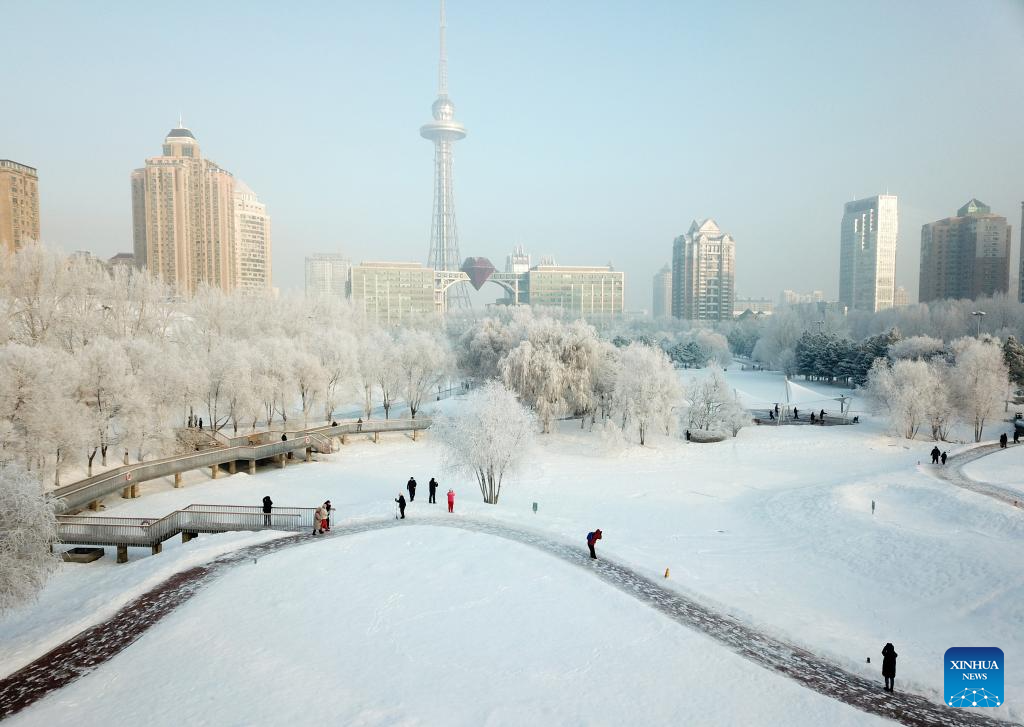 Rime scenery in northeast China's Harbin