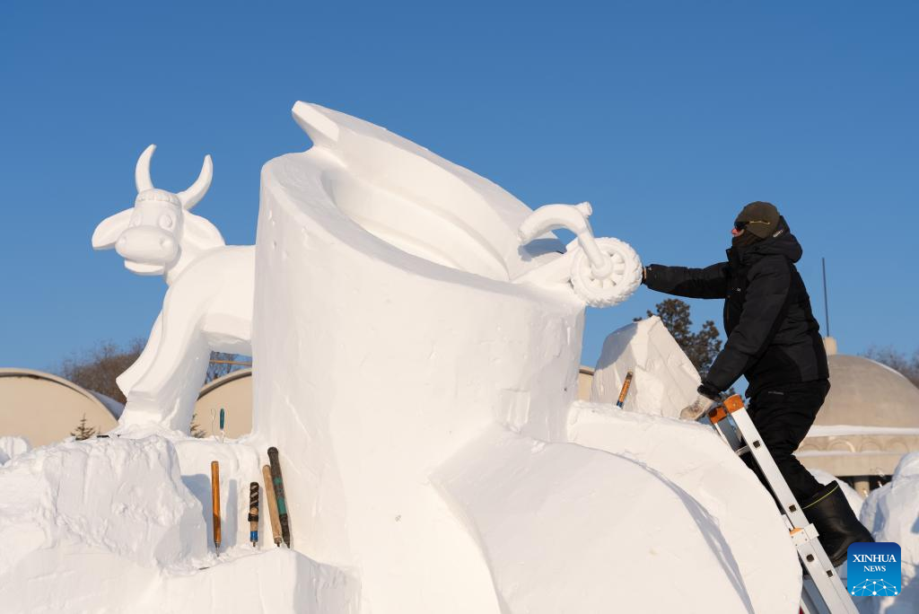 International snow sculpture competition held in Harbin