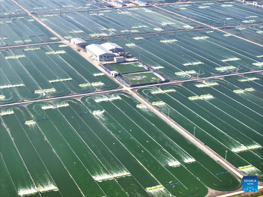 View of microalgae breeding base in China's Guangxi