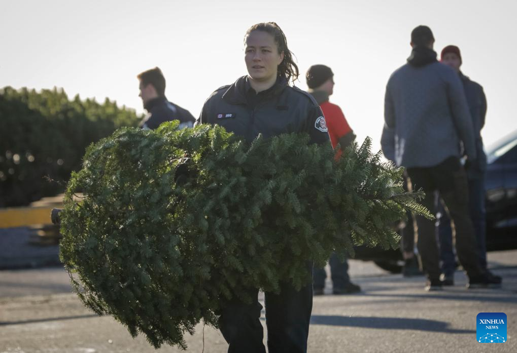 Firefighters help residents recycle Christmas trees in Canada