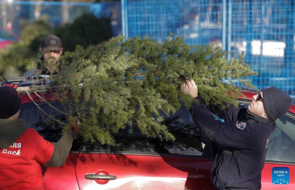 Firefighters help residents recycle Christmas trees in Canada