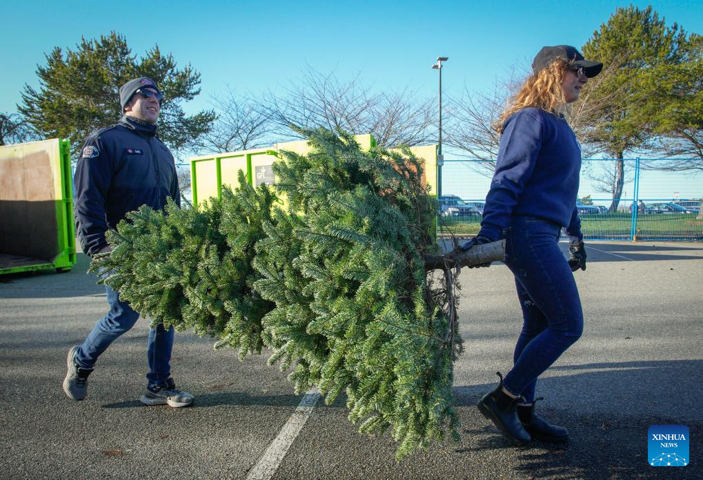 Firefighters help residents recycle Christmas trees in Canada