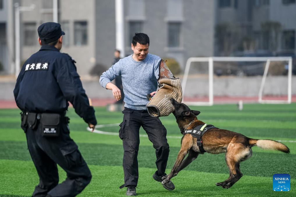 Police dog unit carries out training session in C China's Hubei