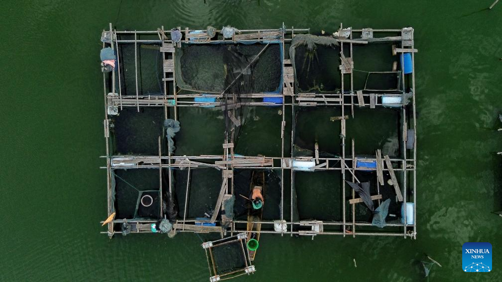In pics: floating fish farms in Lhokseumawe, Indonesia