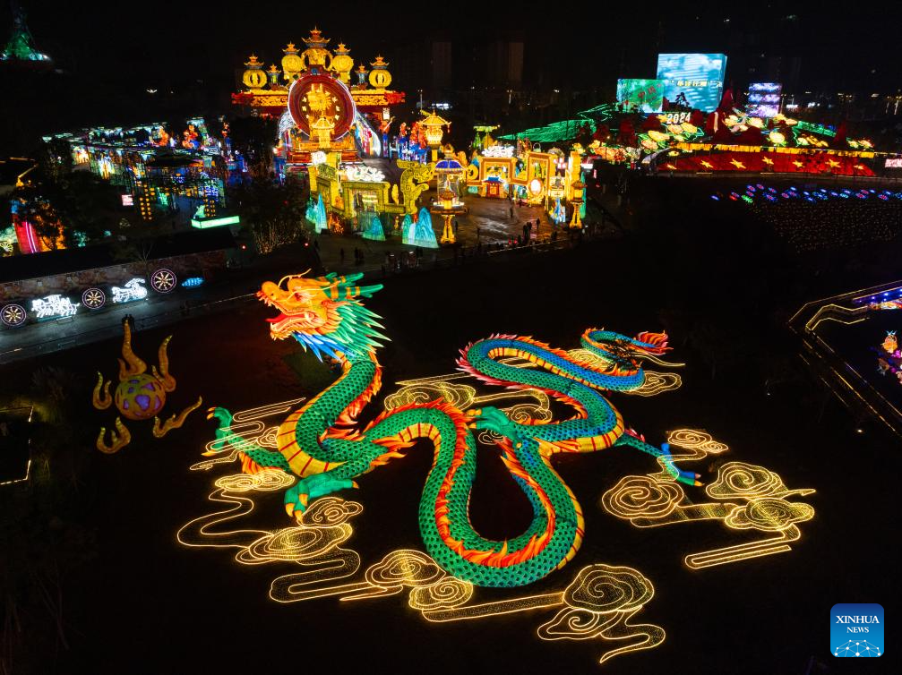 In pics: light installations for 30th Int'l Dinosaur Lantern Show in Zigong, SW China