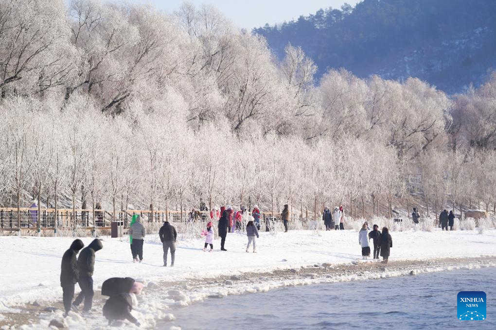 People enjoy rime scenery along Songhua River in NE China's Jilin