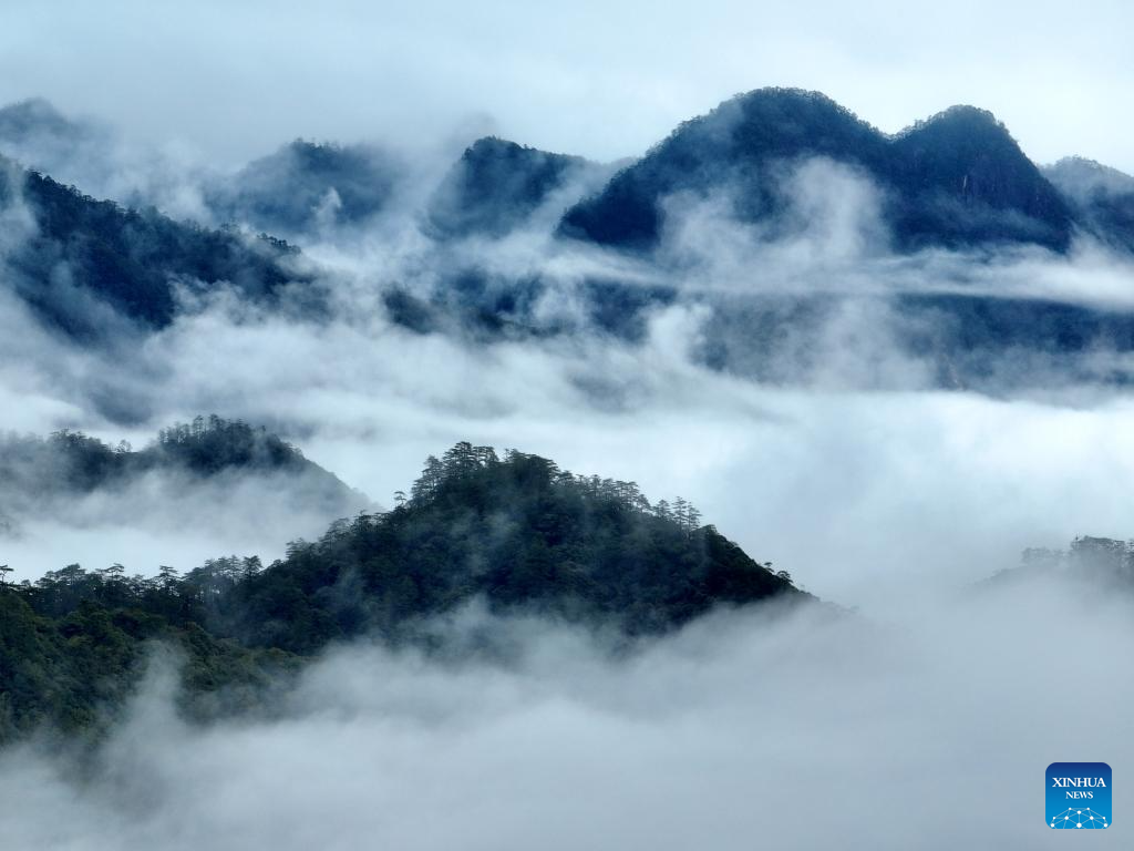 Scenery of Wuyishan National Park in China's Fujian