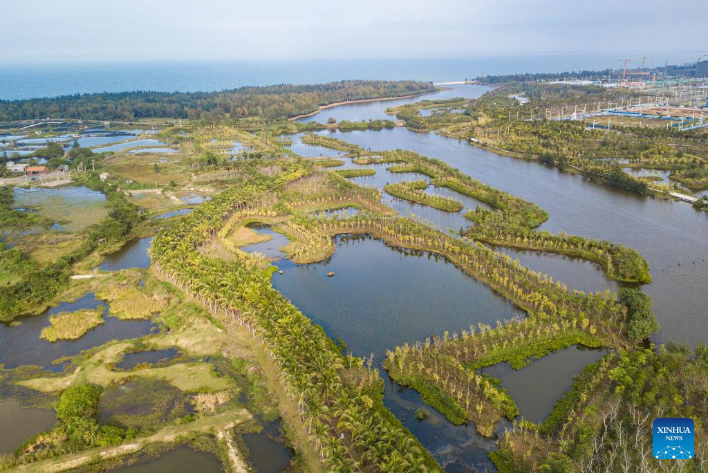 China's Haikou strengthens conservation and restoration of wetlands