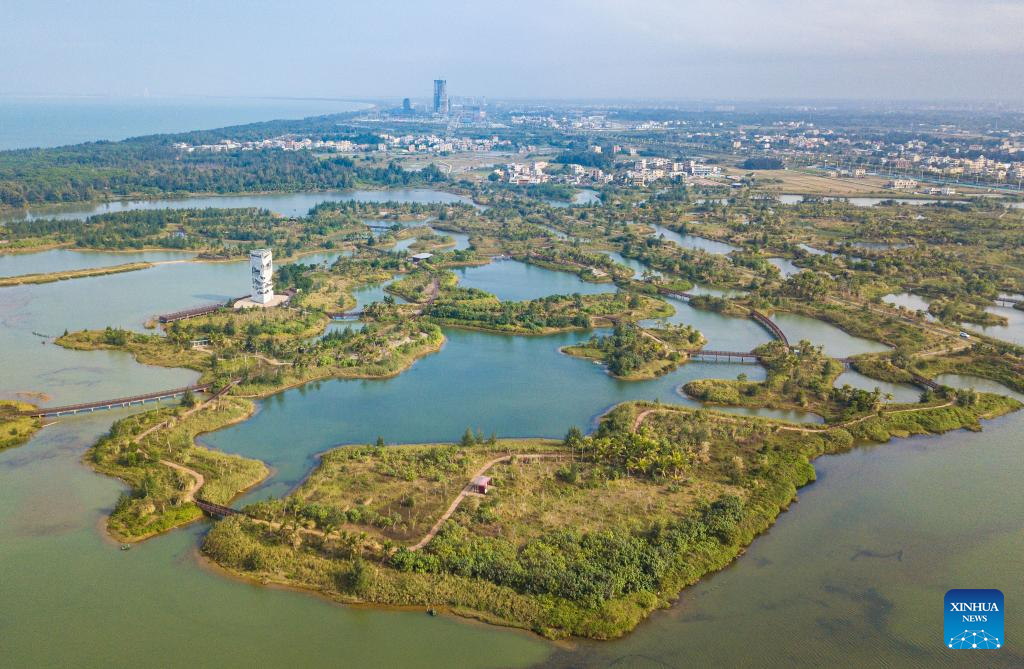 China's Haikou strengthens conservation and restoration of wetlands