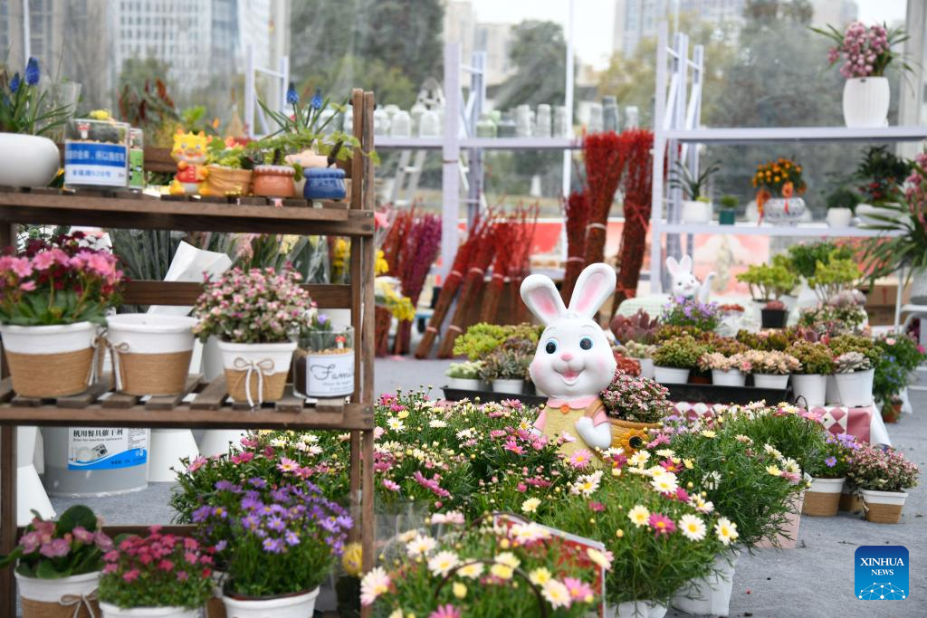 Flower-themed fairs held in Chengdu to celebrate upcoming Chinese New Year