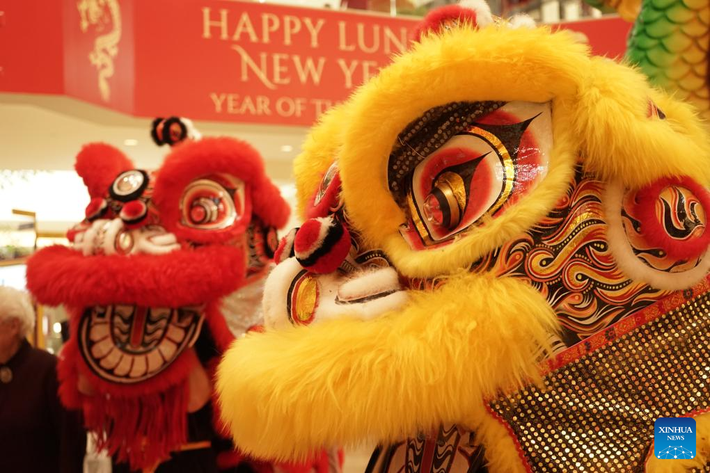 Chinese New Year celebrated acoss world
