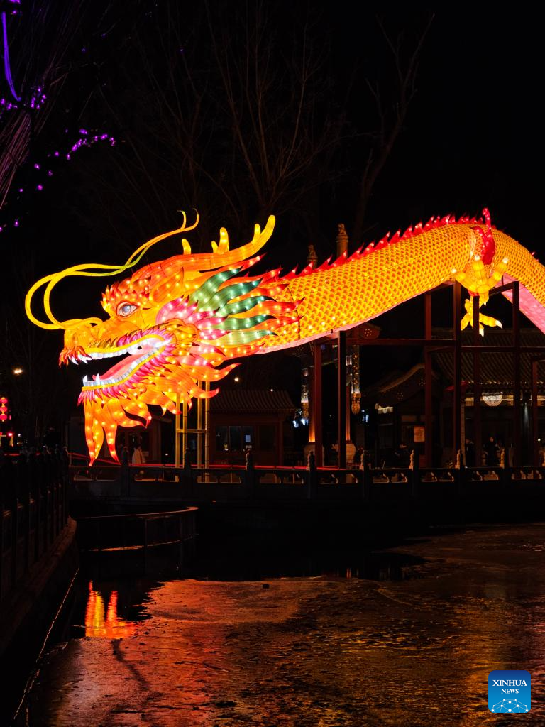 Dragon-shaped light installation seen in Beijing