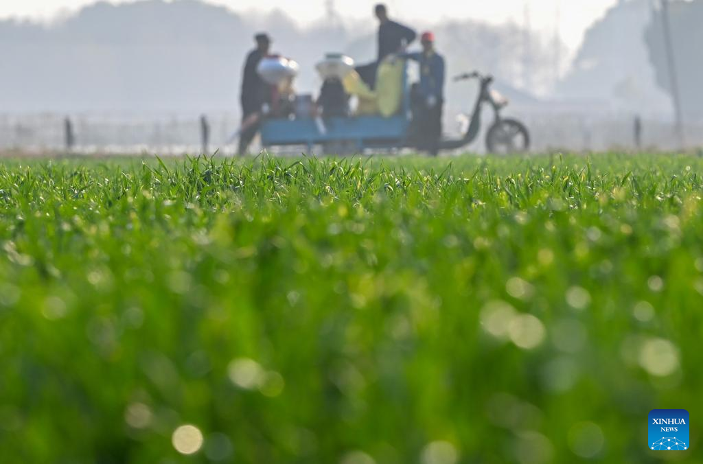 Farmers across China busy with agricultural production on day of Rain Water