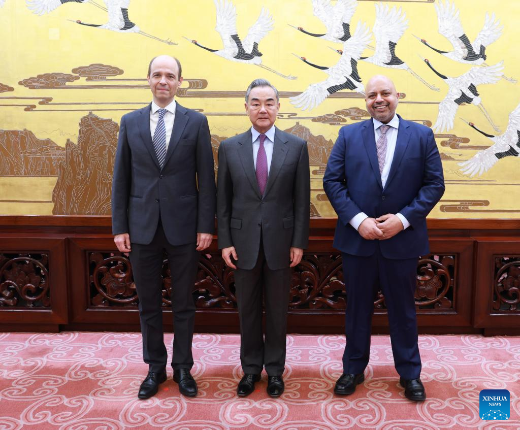 Chinese FM meets co-chairs of negotiations on UNSC reform
