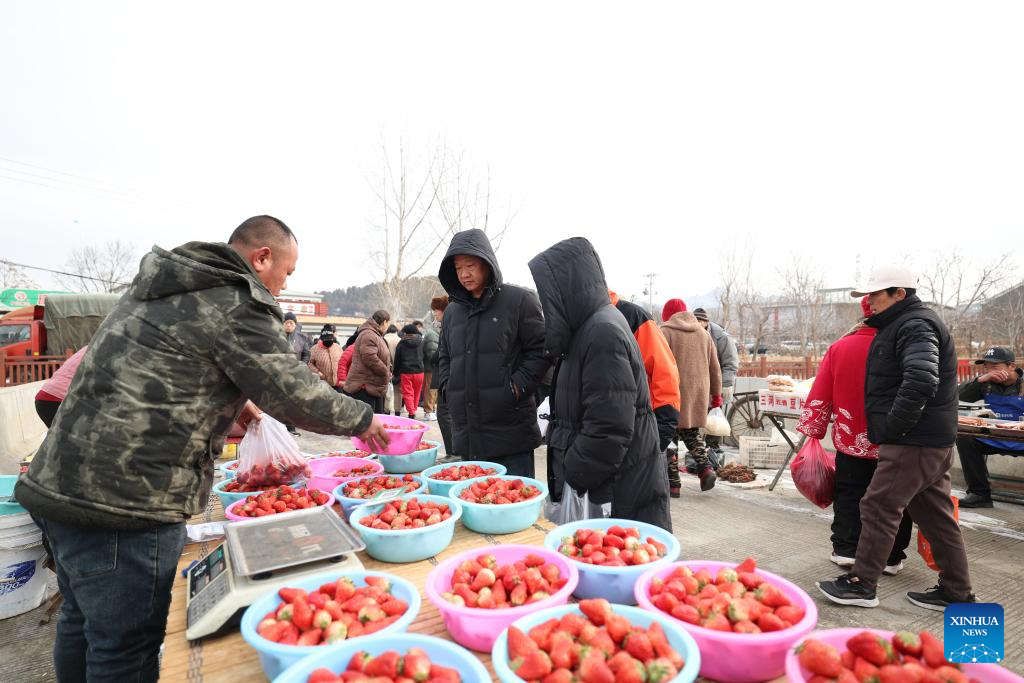 Village at border area of Beijing-Tianjin-Hebei attracts investors and tourists