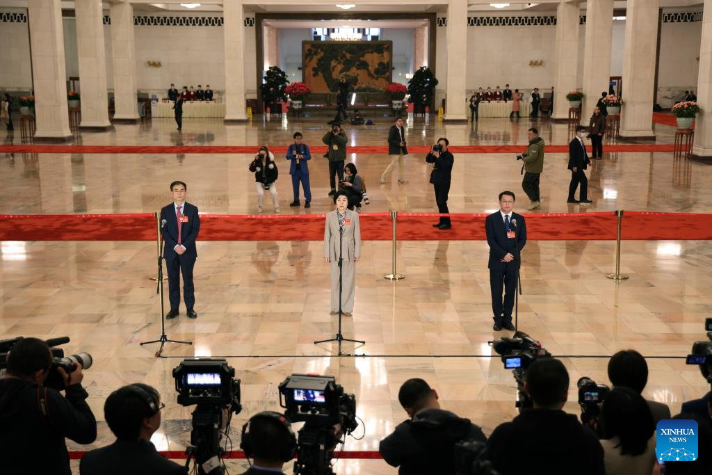 CPPCC members interviewed before 2nd plenary meeting of 2nd session of 14th CPPCC National Committee