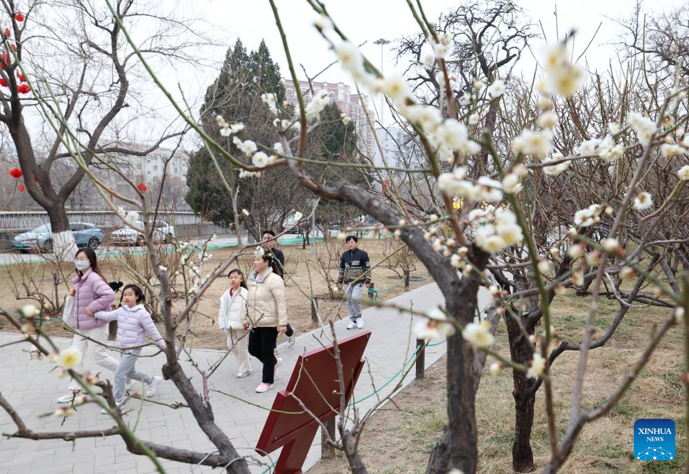 Visitors enjoy plum blossom in Beijing