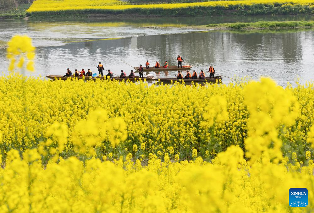 Tourists enjoy view of rapeseed flowers in Lianghe Village, China's Sichua