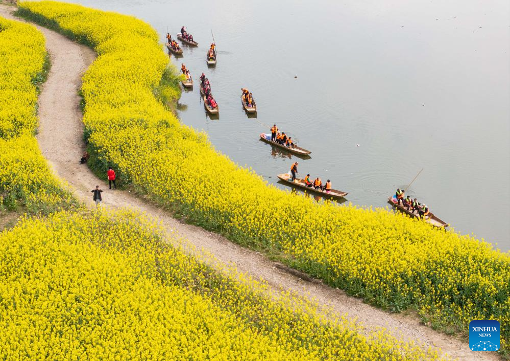 Tourists enjoy view of rapeseed flowers in Lianghe Village, China's Sichua